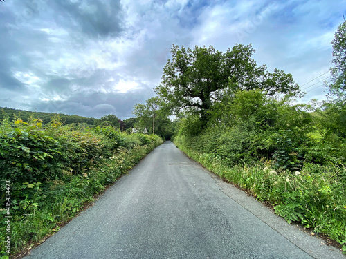 Looking along, Old Hollins Hill, with hedgerow, wild flowers, and a cloudy sky in, Esholt, Bradford, UK photo