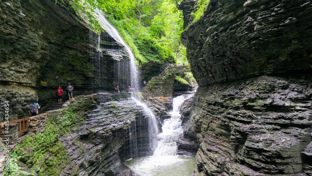 Obraz premium waterfall in the forest