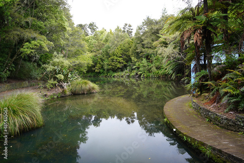A small lake in Hamiton Gardens, New Zealand © tristanbnz