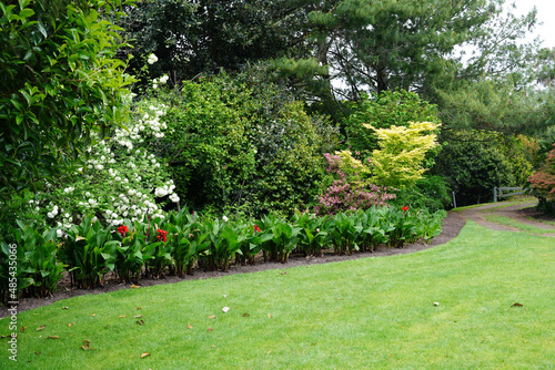 Hammond Camellia Garden in Hamilton Gardens, New Zealand