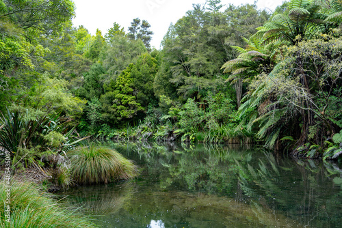 A small lake in Hamiton Gardens, New Zealand
