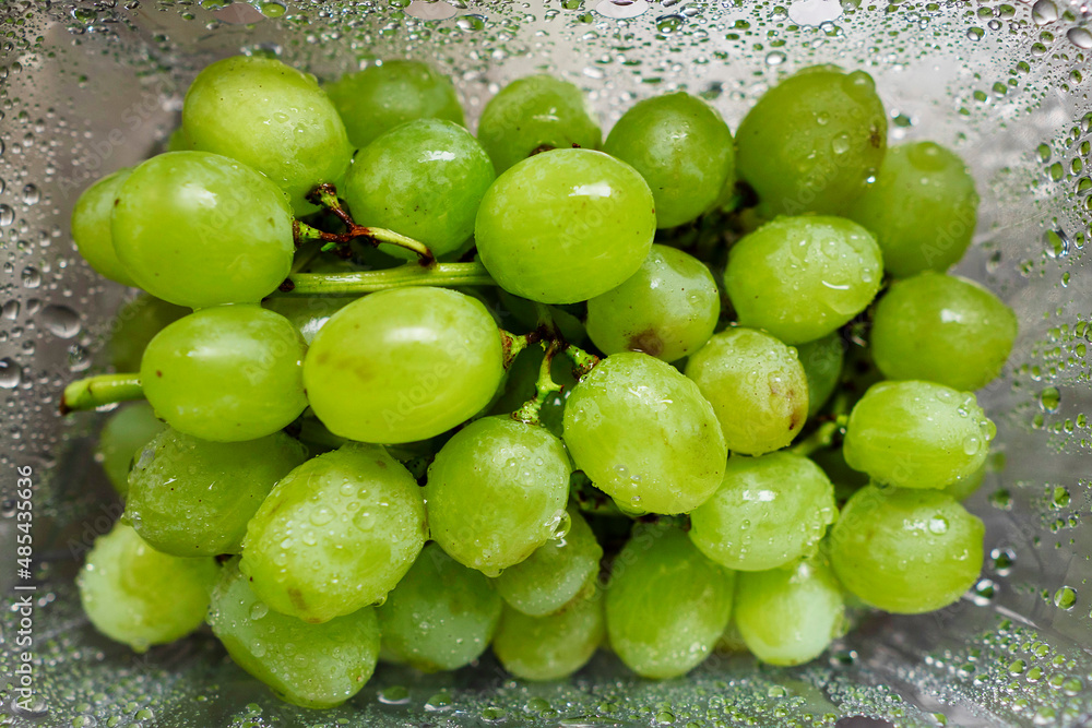 Juicy fresh green grapes in a plastic container after washing. Healthy routine concept. Cleaning fruits before use Juicy fresh green grapes in a plastic container after washing. Healthy routine concept. Cleaning fruits before use