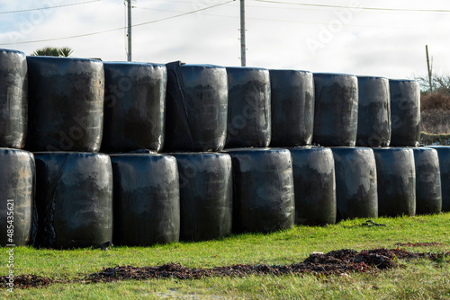 Stack of hay in a black plastic wrap on a field by a farm. Food supply for cows, horses and sheep to feed on winter. Warm sunny day. Agriculture industry.