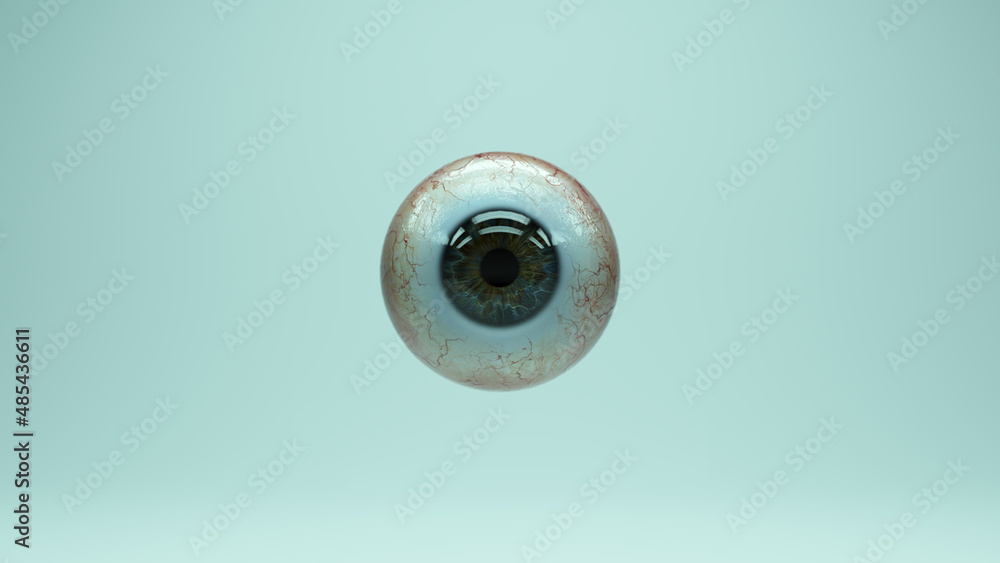 Eyeball Human Iris Cornea Pupil Anatomy Vision Reflection 3d illustration render Eyeball Human Iris Cornea Pupil Anatomy Vision Reflection 3d illustration render