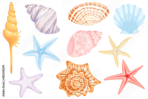 Set of starfish and shells.Colorful cartoon vector graphic.