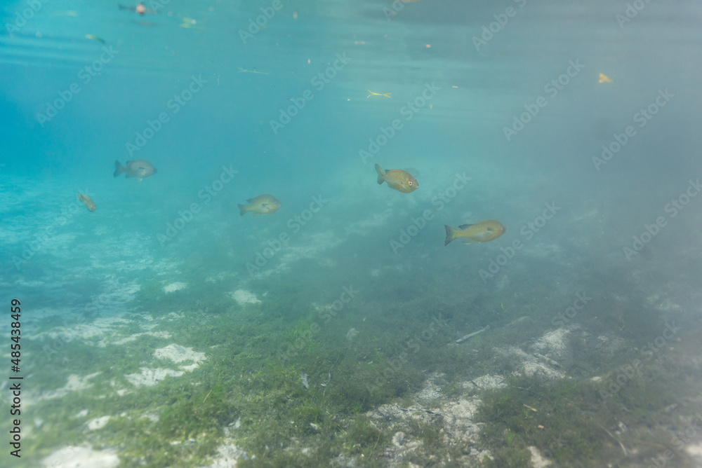 Fototapeta premium creative