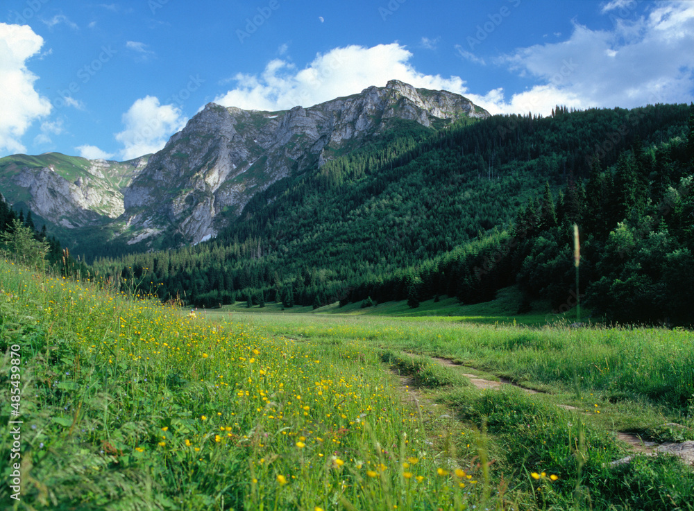 Tourist trail in The Little Meadow Valley - Dolina Malej Laki (Dolina Ma³ej £¹ki), the Tatra (Tatry) Mountains, Poland Tourist trail in The Little Meadow Valley - Dolina Malej Laki (Dolina Ma³ej £¹ki), the Tatra (Tatry) Mountains, Poland