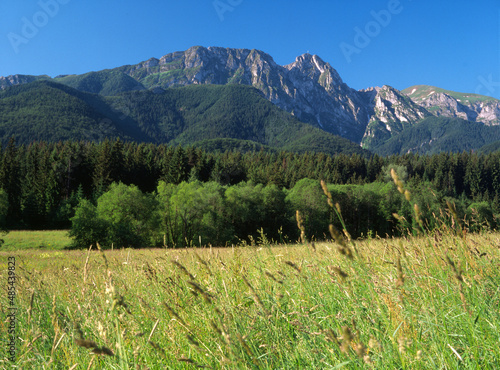 Fototapeta Naklejka Na Ścianę i Meble -  Giewont Mountain, Tatra (Tatry) Mountains, Poland