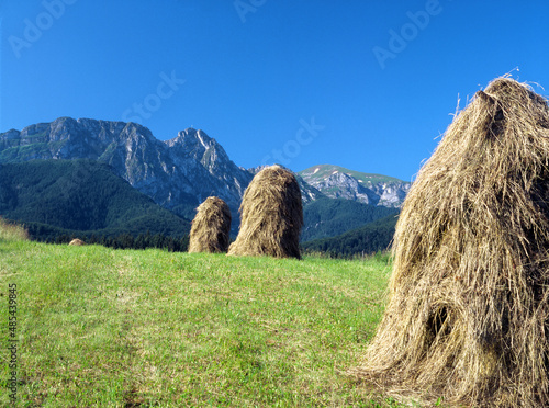 Fototapeta Naklejka Na Ścianę i Meble -  Giewont Mountain, Tatra (Tatry) Mountains, Poland