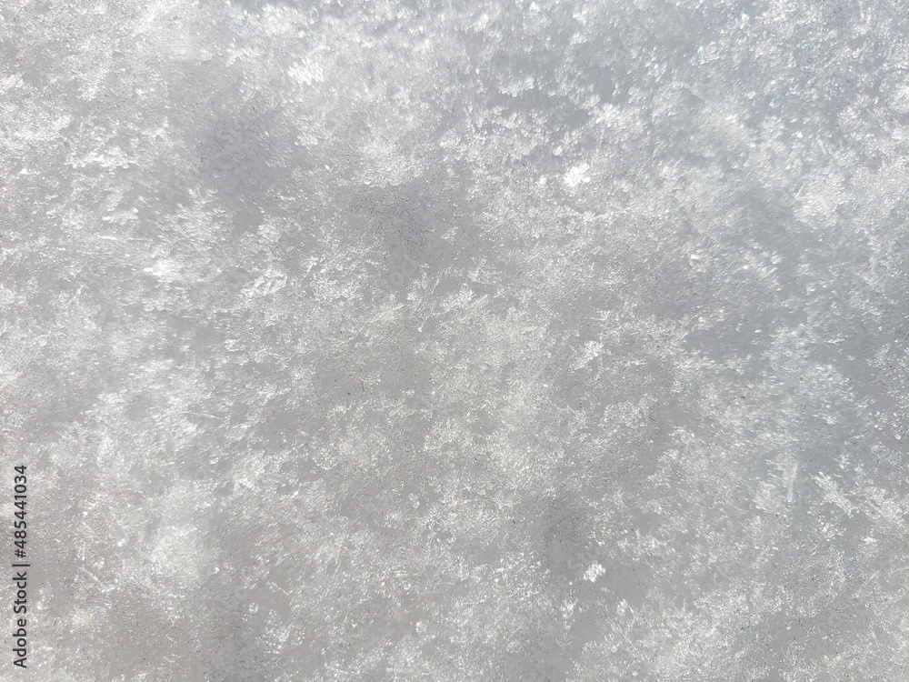 Fototapeta premium Snow crystals