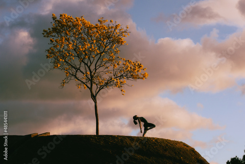 Beautiful health woman silhouette in pink blue sky sunrise doing yoga at the hill with a yellow tree