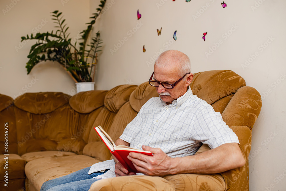 Fototapeta premium Portrait of a senior handsome wise man sitting on a sofa in a room and reading an academic book. Smiling mature 60s caucasian man reading family bible with a red cover