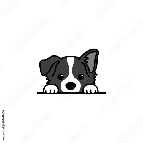Stampa su tela Cute border collie puppy peeking cartoon, vector illustration