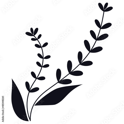 Vector Plantas silueta con floración
