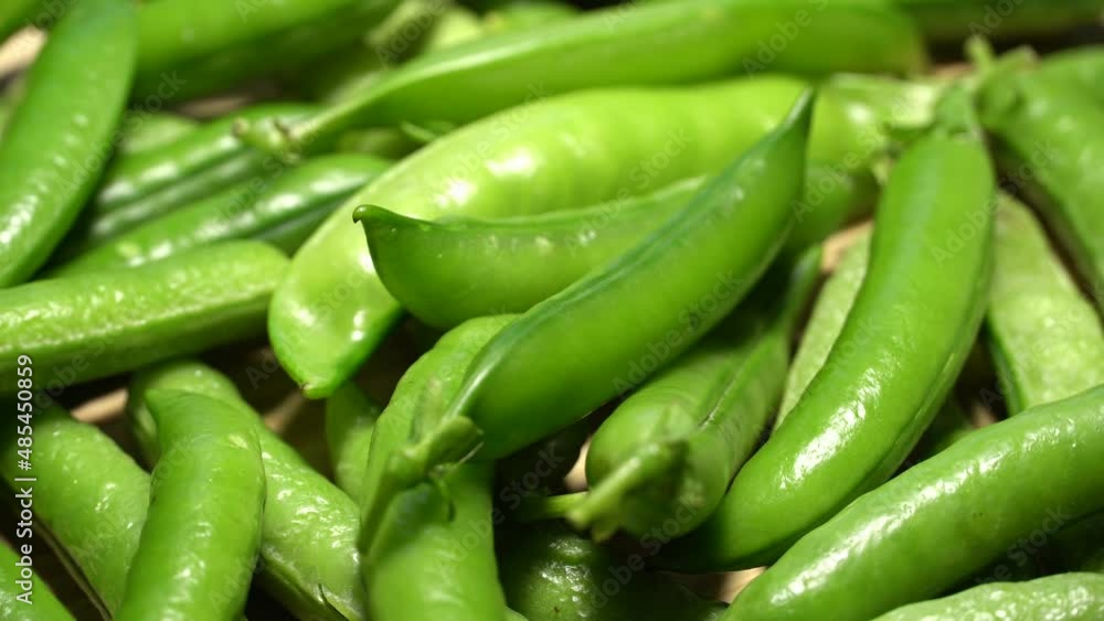 Fresh green pea pods rotation. Loop motion Fresh green pea pods rotation. Loop motion