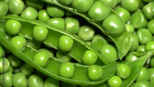 Fresh green peas rotation. Loop motion