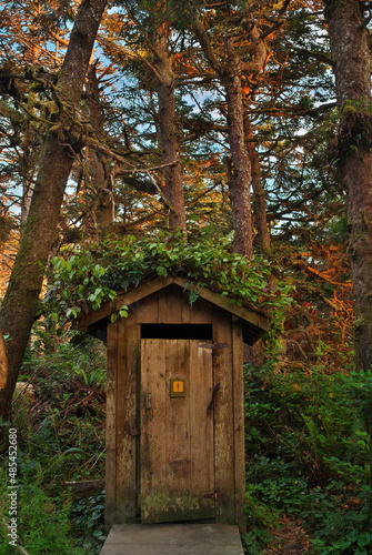 Fotografi Wooden outhouse in a beautiful forest setting on Vancouver Island in Canada