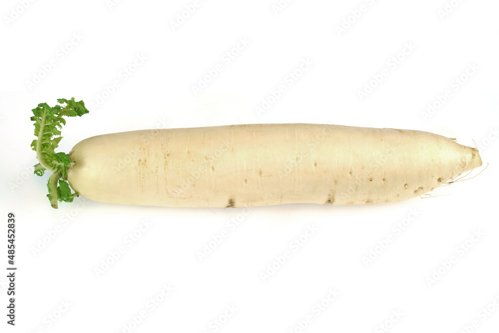 Close up on white radish isolated on white background Close up on white radish isolated on white background