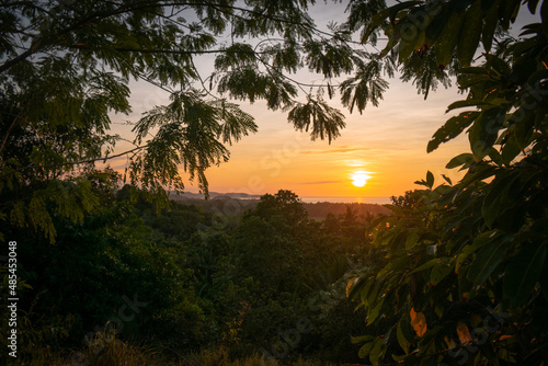 Golden sunset in the jungle. Romblon  Philippines