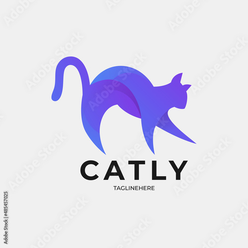 Ccatty colorful logo concept