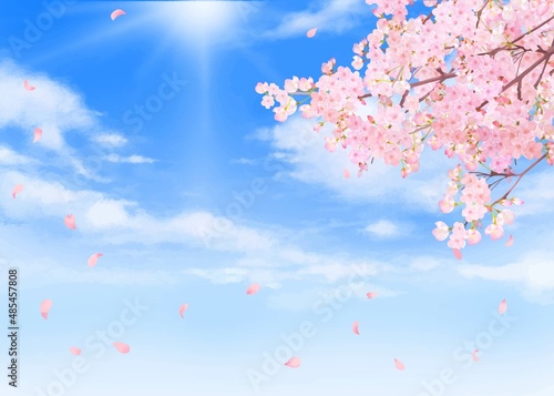 美しく華やかな桜の花と花びら舞い散る春の爽やか青空に光差し込む雲のフレーム背景ベクター素材イラスト