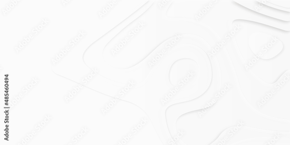 Vector abstract white paper cut banner. Geometric layered curve line white vector, Paper cut vector art background banner texture website template, 3D papercut layers, Paper cut banner concept. Vector abstract white paper cut banner. Geometric layered curve line white vector, Paper cut vector art background banner texture website template, 3D papercut layers, Paper cut banner concept.