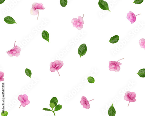 Natural Hydrangea pink purple flower, minimal floral pattern on white background. Layout with small fresh flowers. Spring holiday concept, for Mothers day, 8 March, Womens day © yrabota