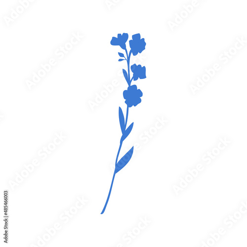 Forget-me-not flower vector illustration isolated on white background, colorful delicate silhouette, decorative herbal doodle, for design medicine, wedding invitation, greeting card, floral cosmetic