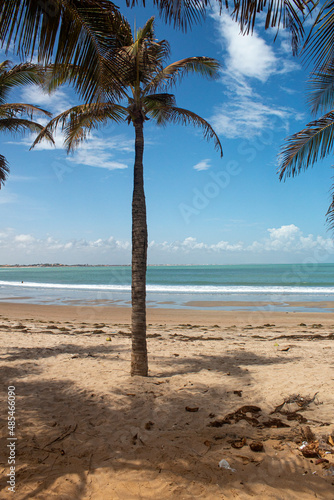 Coqueiro praia