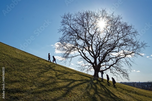 Wanderung Bergauf mit Baumsilhouette im Gegenlicht
