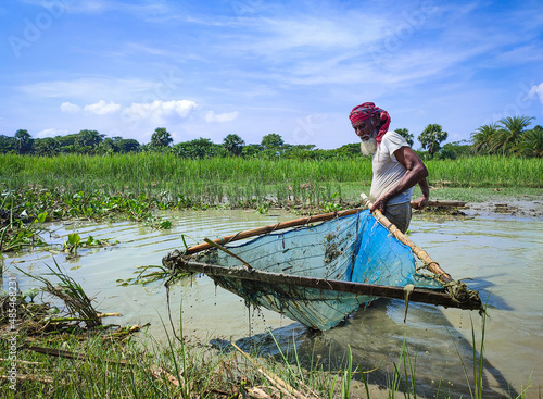  Muslim white beard village fisherman fishing with a lave net in hand from a lake, rural old man is working beside a river, Bangladeshi fisherman with white dress and towel in head