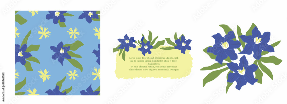 Seamless pattern blue clematis. Purple flower hand-drawn on a white isolated background. Decorative print botanical element. A colorful flowering plant. Design of prints, postcard, packaging.