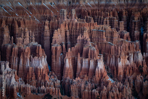 Steeples of the Pink Cliffs