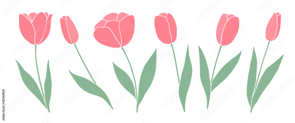 Set of pink tulips isolated on white Set of pink tulips isolated on white