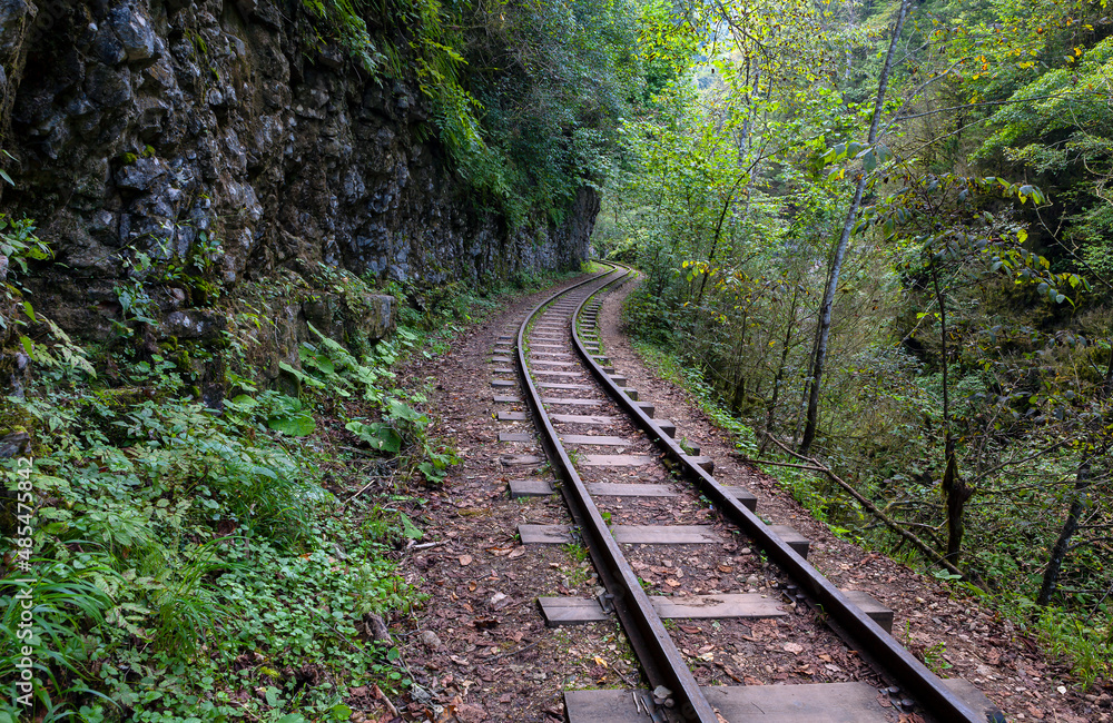 Obraz premium Railroad in the Guam Gorge. Republic of Adygea . Russia.