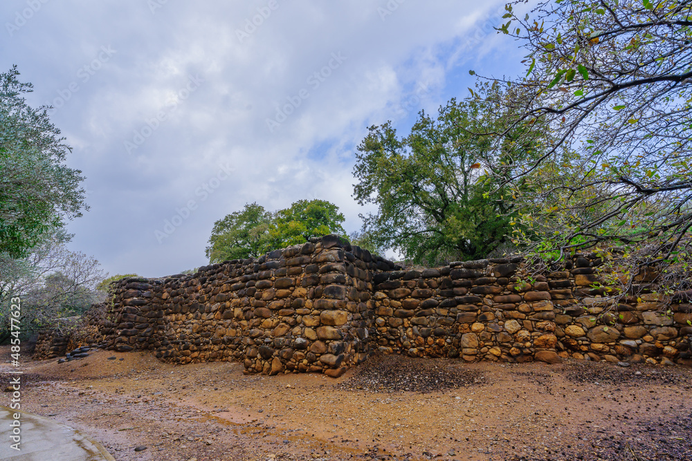Trees and ancient Canaanite and Israelite city of Dan
