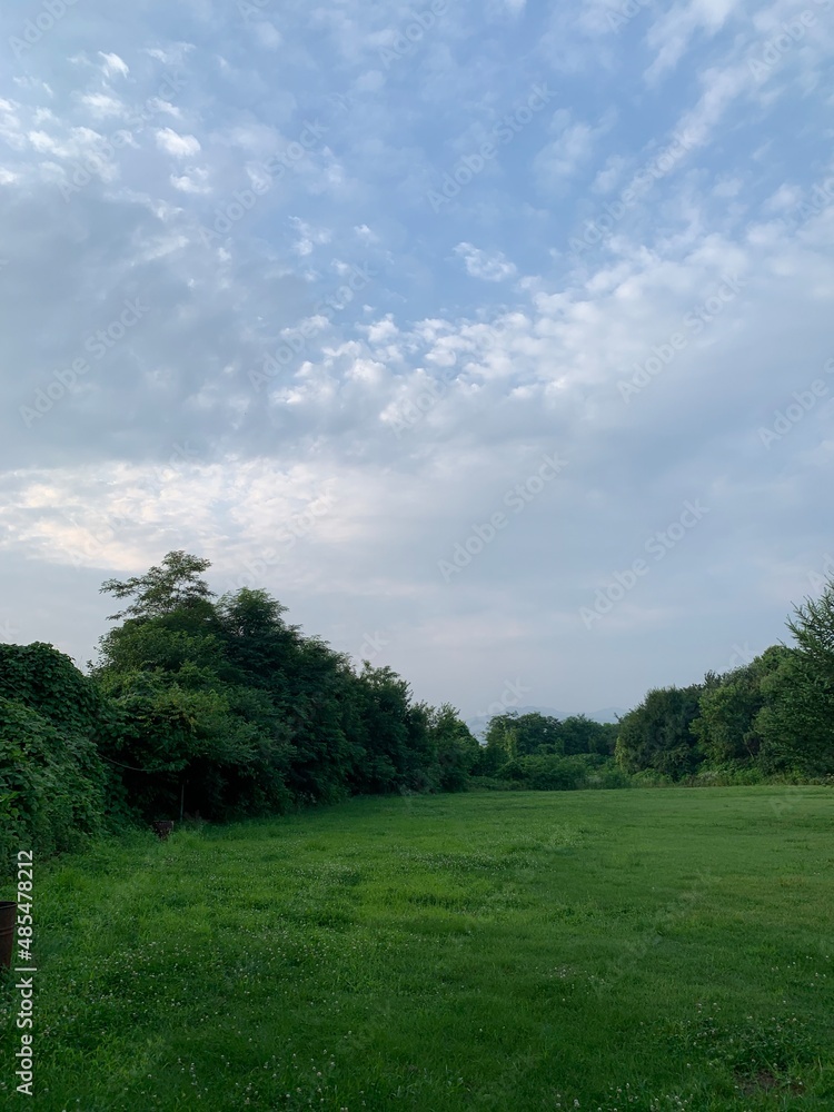넓은 잔디와 나무가 있는 공원, 캠핑장 / A park with large grass and trees, a camping site 넓은 잔디와 나무가 있는 공원, 캠핑장 / A park with large grass and trees, a camping site
