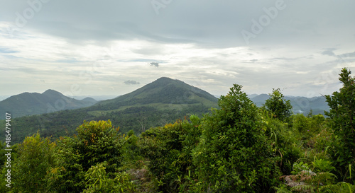Borneo forest in the Meratus Mountains