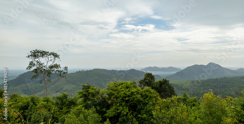 Borneo forest in the Meratus Mountains