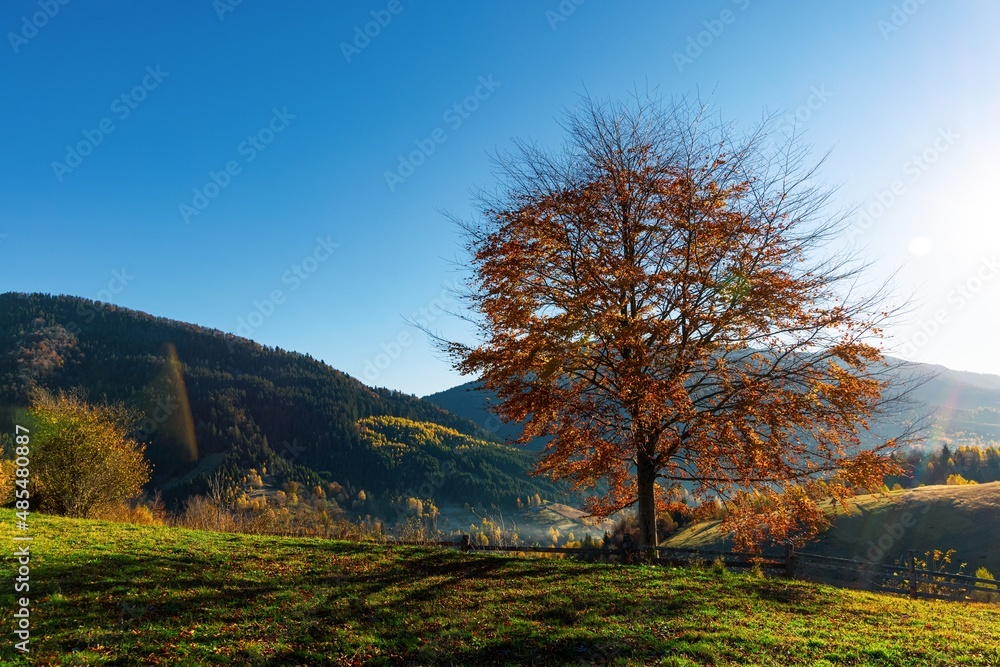 Fototapeta premium Mountain ridge with terracotta forests under cloudy sky