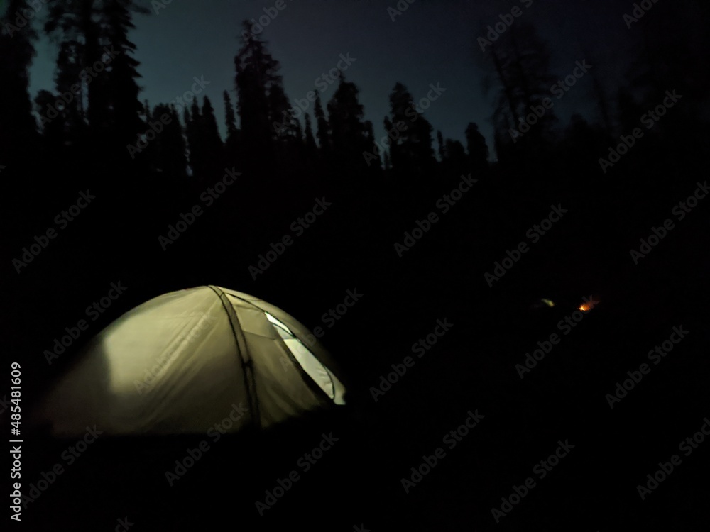 camping in the night forest