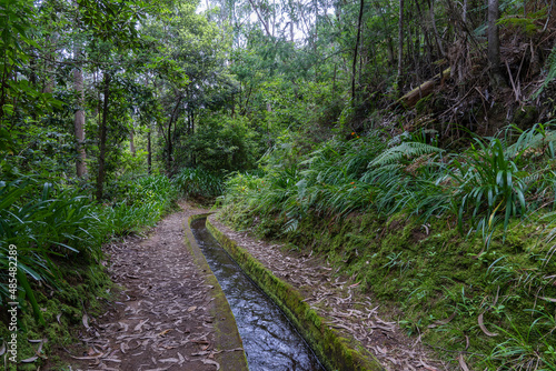 Hiking path in the forest by Levada do Rei