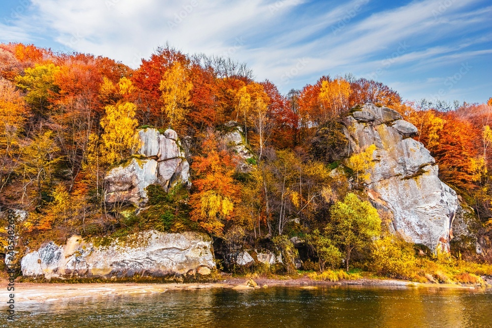Rocky cliff with yellowed trees and mountain river in autumn