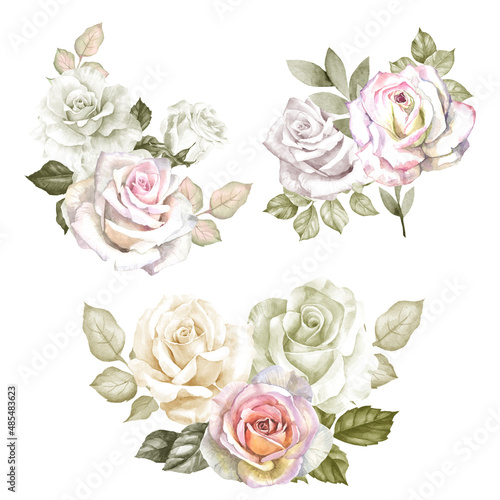 set of roses.watercolor flowers