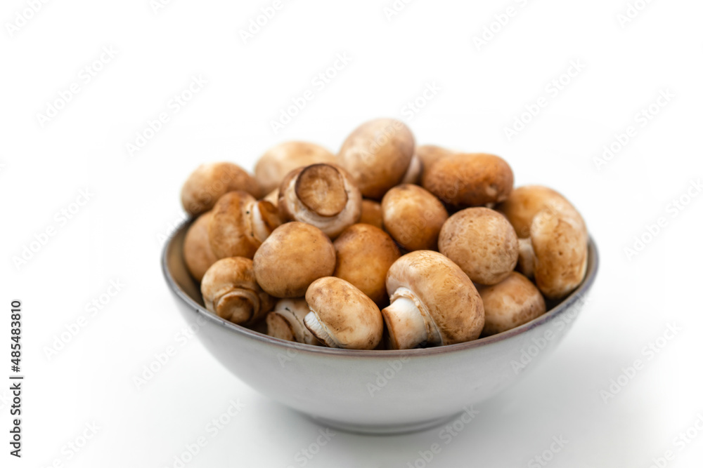 mushrooms champignon in bowl on white background mushrooms champignon in bowl on white background