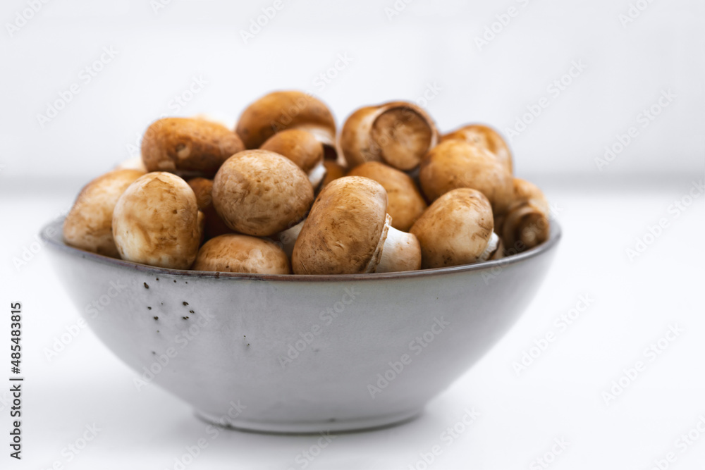 mushrooms champignon in bowl on white background mushrooms champignon in bowl on white background