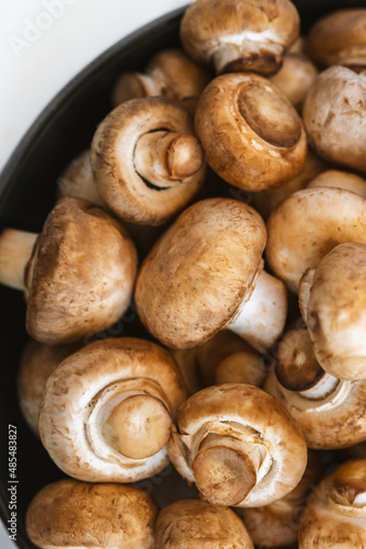 Fresh mushrooms champignon in bowl on white background. Copy space.