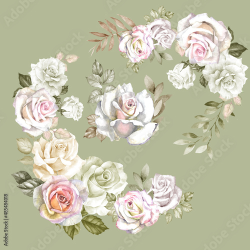 roses illustrations.watercolor flowers