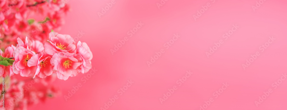 romantic peach blossom poster background romantic peach blossom poster background