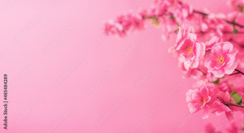 rose red peach blossom fashion promotion poster